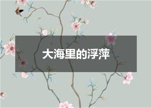 大海里的浮萍