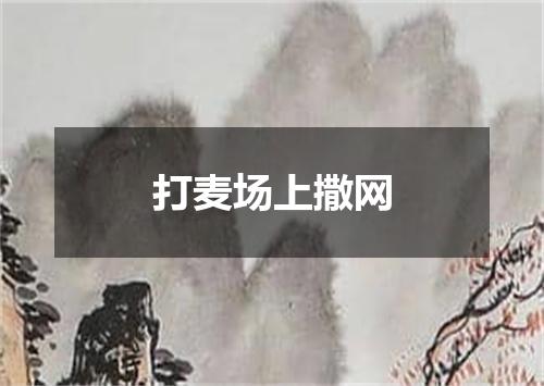 打麦场上撒网