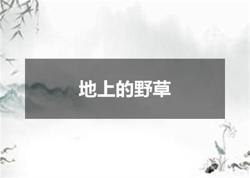 地上的野草