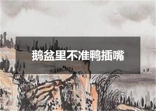 鹅盆里不准鸭插嘴
