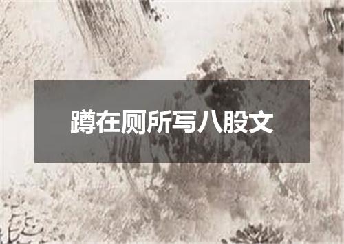 蹲在厕所写八股文