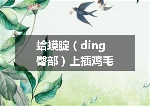 蛤蟆腚（ding臀部）上插鸡毛