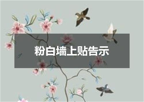 粉白墙上贴告示