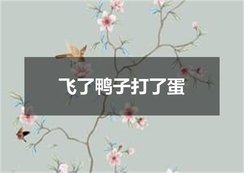 飞了鸭子打了蛋
