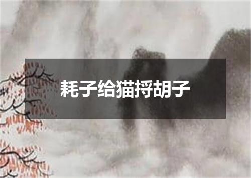 耗子给猫捋胡子
