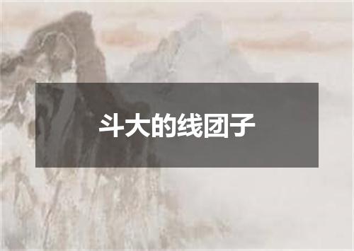 斗大的线团子
