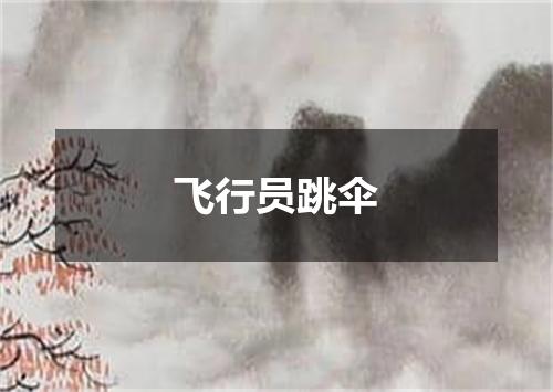 飞行员跳伞