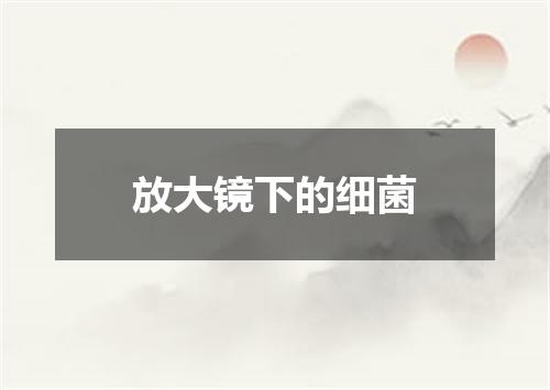 放大镜下的细菌
