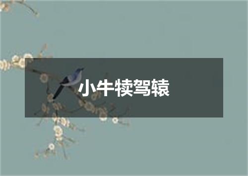 小牛犊驾辕