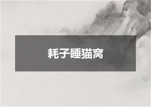 耗子睡猫窝