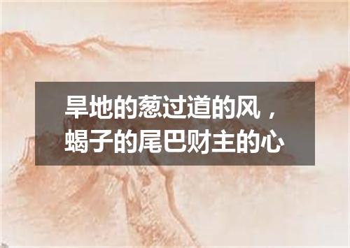 旱地的葱过道的风，蝎子的尾巴财主的心