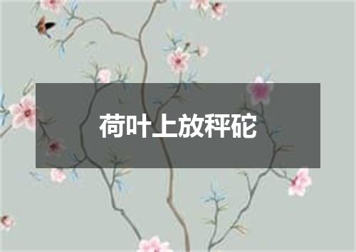荷叶上放秤砣
