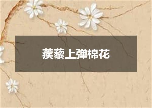 蒺藜上弹棉花