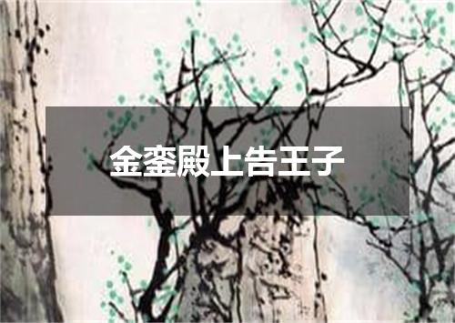 金銮殿上告王子