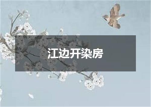 江边开染房