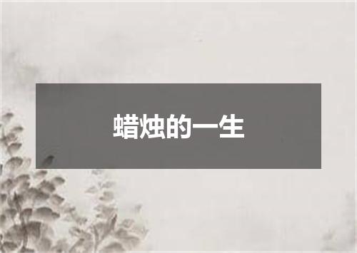 蜡烛的一生