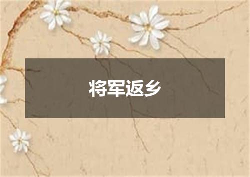 将军返乡