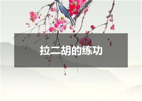 拉二胡的练功