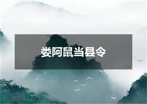 娄阿鼠当县令