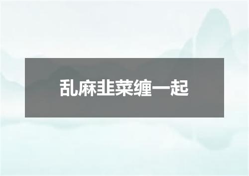 乱麻韭菜缠一起