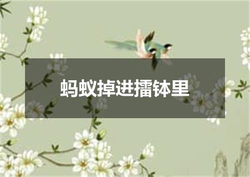 蚂蚁掉进擂钵里