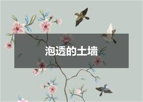 泡透的土墙