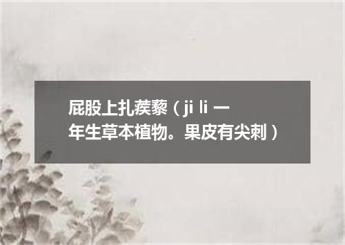 屁股上扎蒺藜（ji li 一年生草本植物。果皮有尖刺）