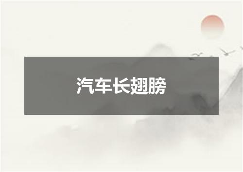 汽车长翅膀