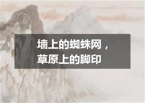 墙上的蜘蛛网，草原上的脚印