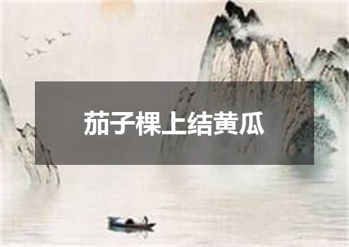 茄子棵上结黄瓜