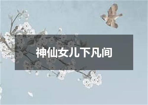 神仙女儿下凡间