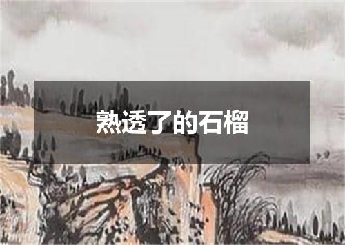 熟透了的石榴