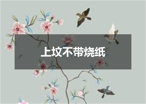 上坟不带烧纸