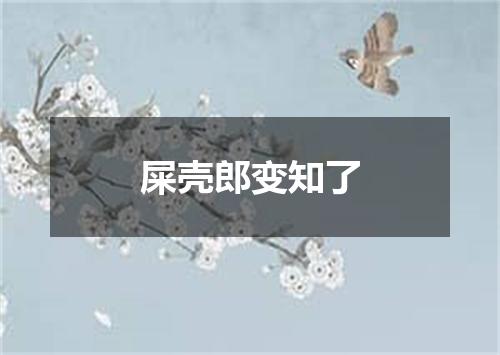 屎壳郎变知了