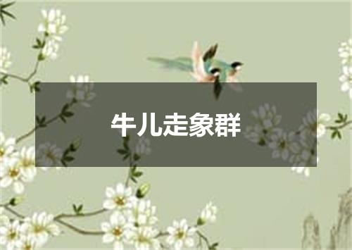 牛儿走象群