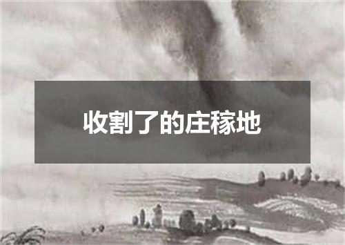 收割了的庄稼地