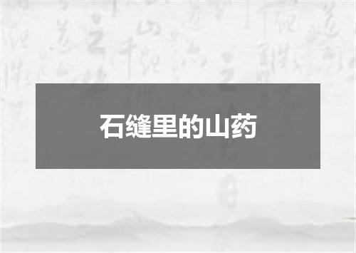 石缝里的山药