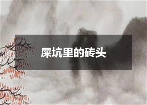 屎坑里的砖头