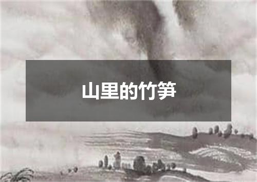 山里的竹笋