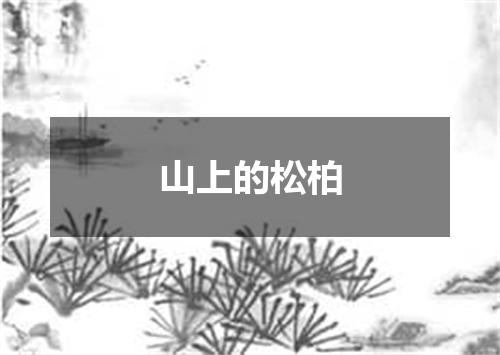 山上的松柏