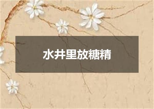 水井里放糖精