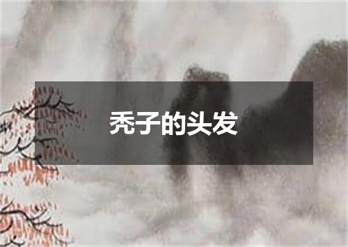 秃子的头发