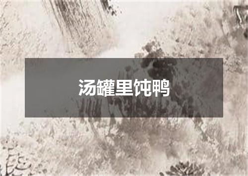汤罐里饨鸭