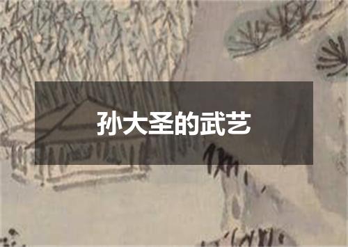 孙大圣的武艺
