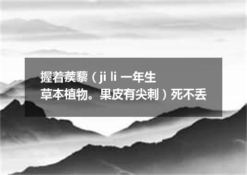握着蒺藜（ji li 一年生草本植物。果皮有尖刺）死不丢