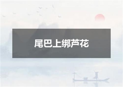 尾巴上绑芦花