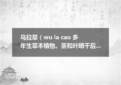 乌拉草（wu la cao 多年生草本植物。茎和叶晒干后垫在鞋或靴子里可以保暖）搀鸡毛