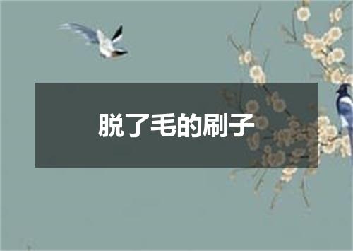 脱了毛的刷子