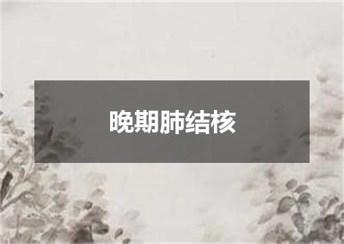 晚期肺结核