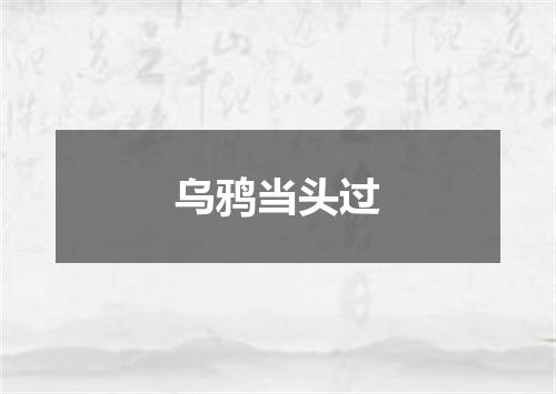 乌鸦当头过